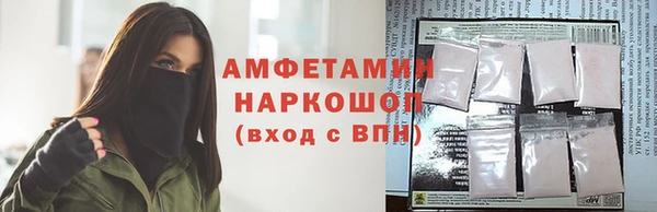 ПСИЛОЦИБИНОВЫЕ ГРИБЫ Алексин