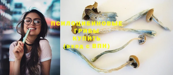 спайс Аркадак