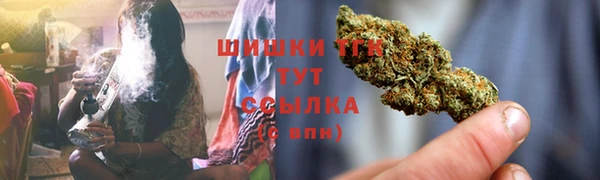 ГАЛЛЮЦИНОГЕННЫЕ ГРИБЫ Алзамай