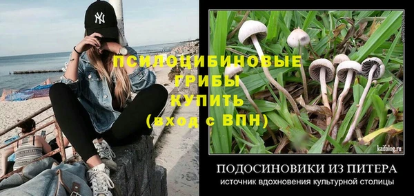 ПСИЛОЦИБИНОВЫЕ ГРИБЫ Алексин